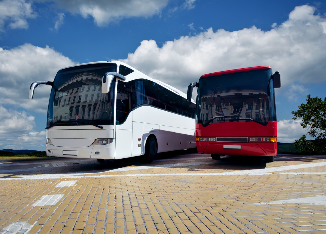 White and red busses
